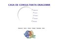 CASA DE CONSULTANTA DRAGOMIR 